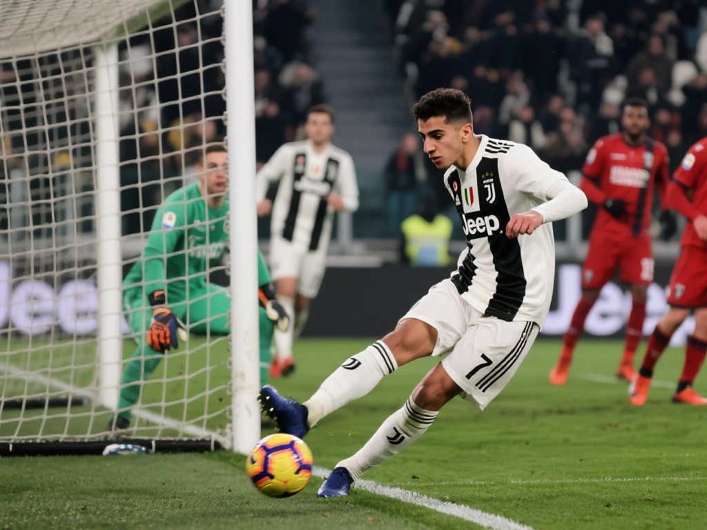 会的举办 会的举办