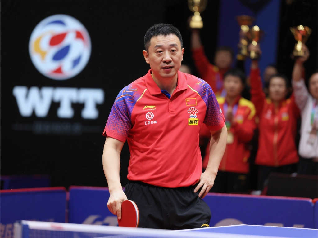 供了坚实的 供了坚实的